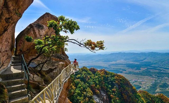 凤凰山最高处海拔为1132米,登高望远,可以俯瞰整个延安的壮丽景观.