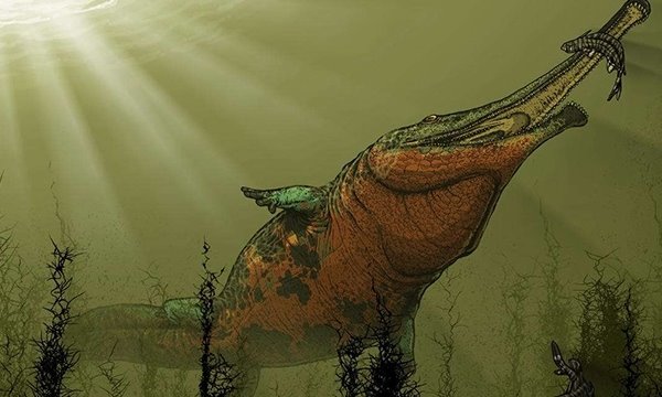 7亿年前的远古生物,最大体长可达9米,重3吨,现今最大的两栖类动物大鲵