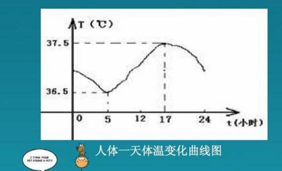 正常人一天体温曲线图人体24小时体温变化图不超过374