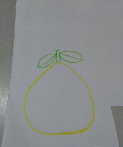 简笔画柚子怎么画