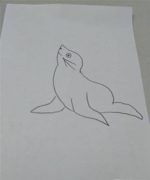 教你画简笔画 海豹