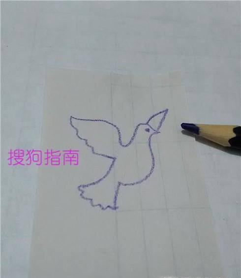 怎样简单画一只鸽子