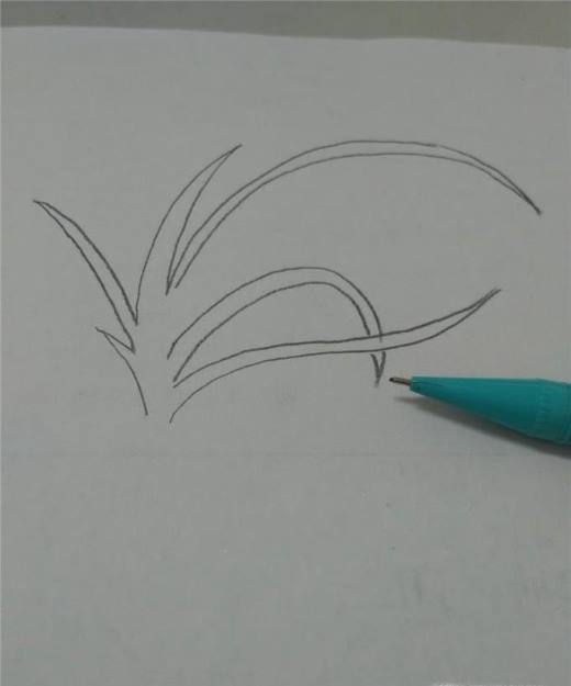 多妈简笔画简单的兰花的画法