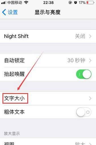 苹果手机的字体如何放大