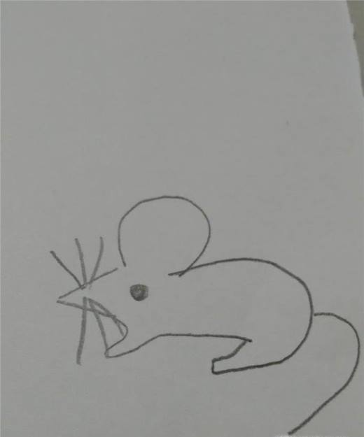 教大家画动物老鼠